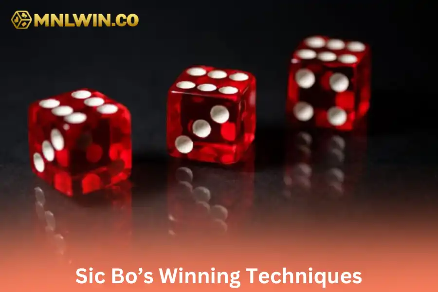 Sic Bo’s Winning Techniques