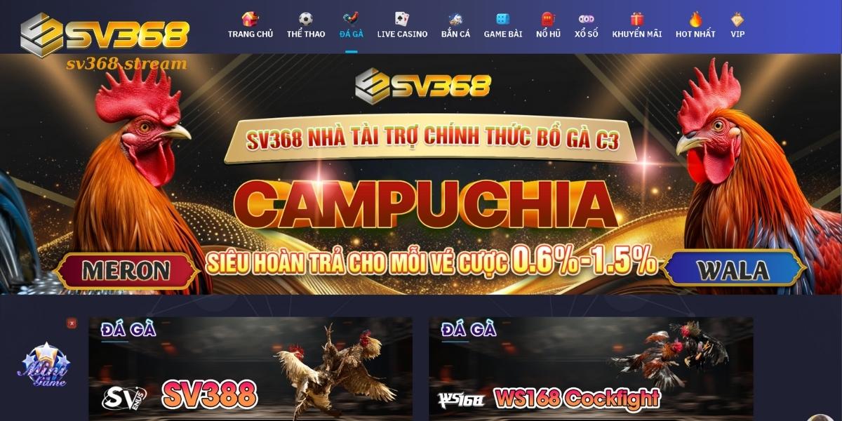 Sv368 bao gồm sảnh đá gà vô cùng đa dạng